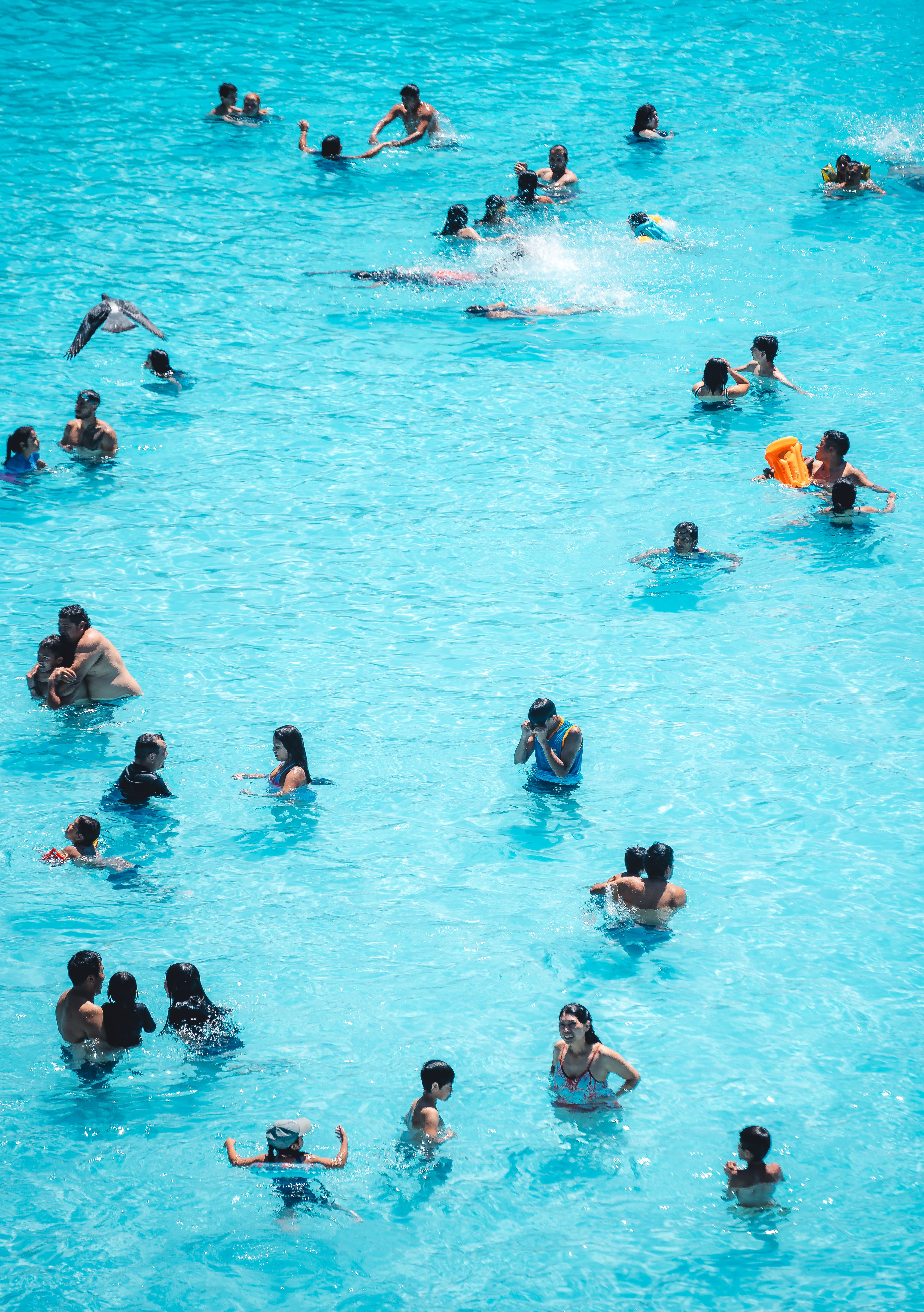 Pool maintenance solution
